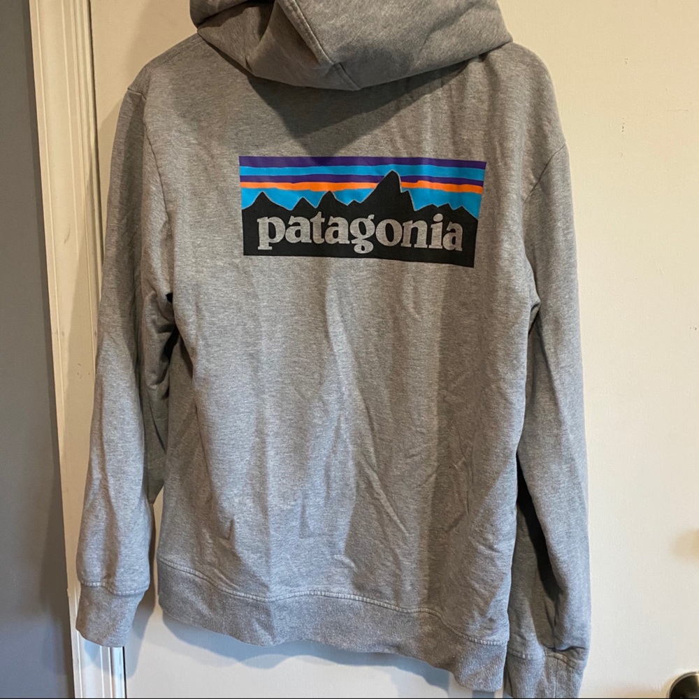 Patagonia hoodie